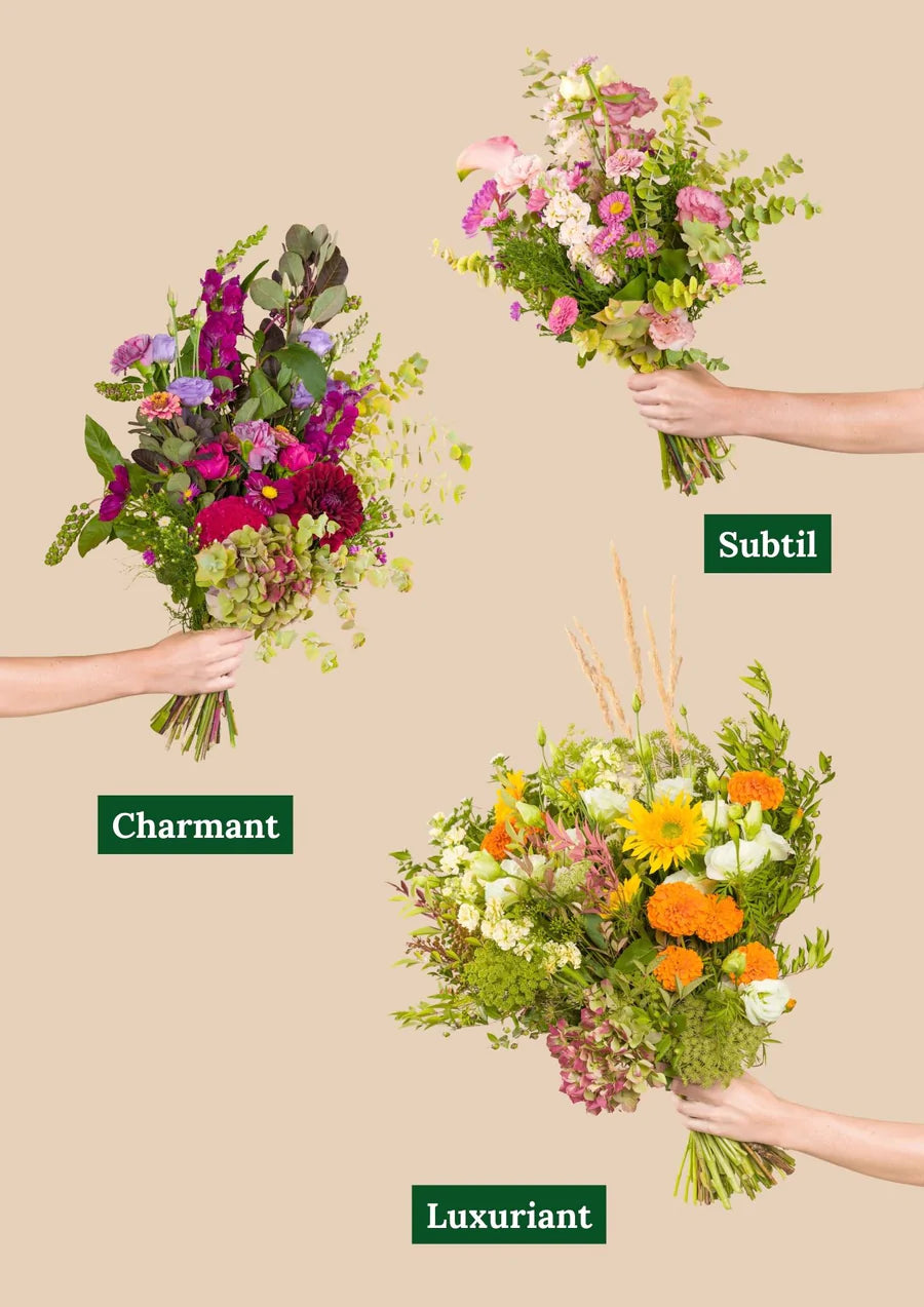 Bouquet de fleurs locales et de saison