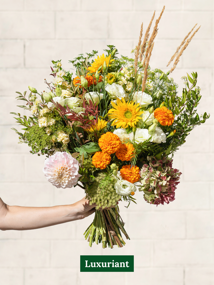 Abonnement Bouquet de fleurs locales et de saison