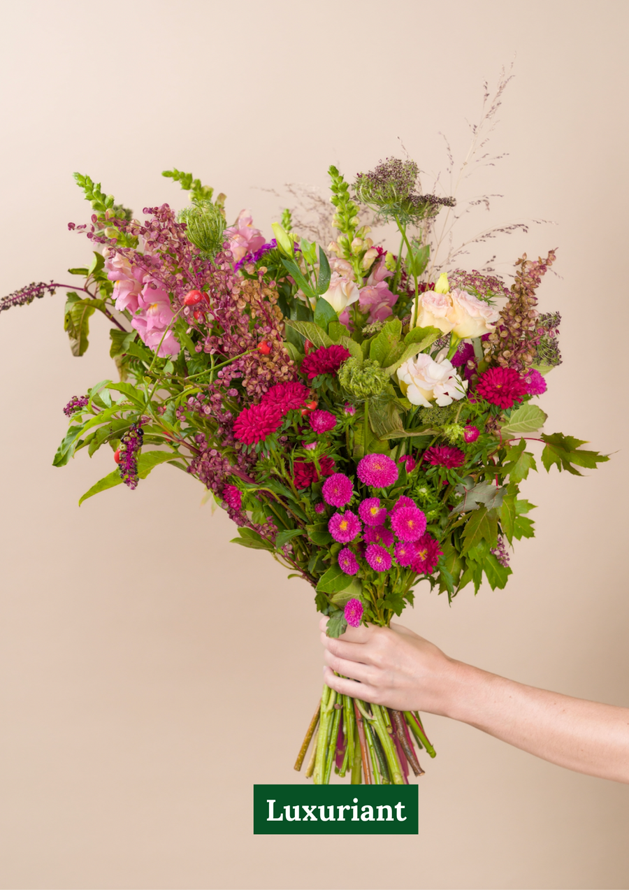 Abonnement Bouquet de fleurs locales et de saison