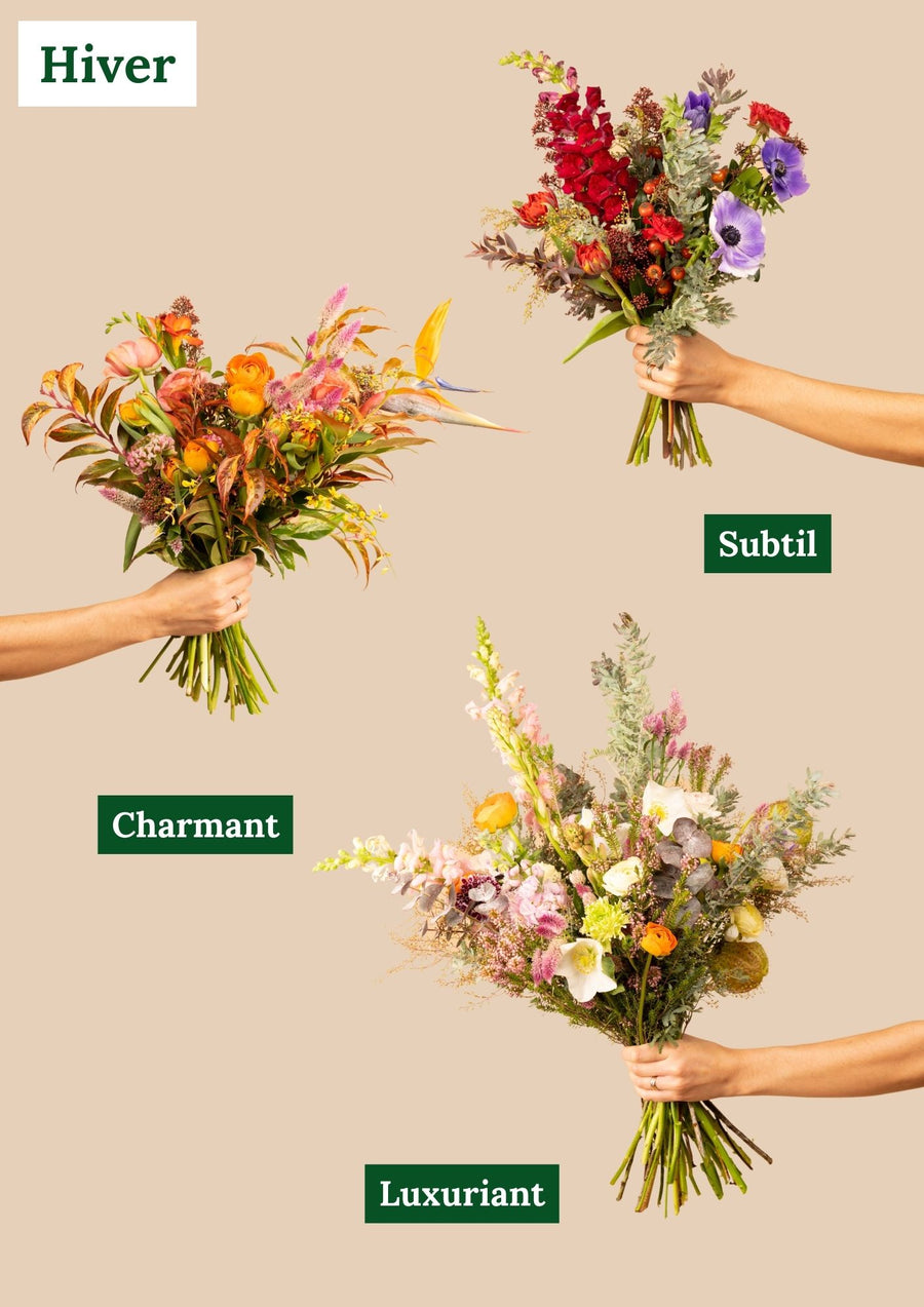 Abonnement Bouquet de fleurs locales et de saison
