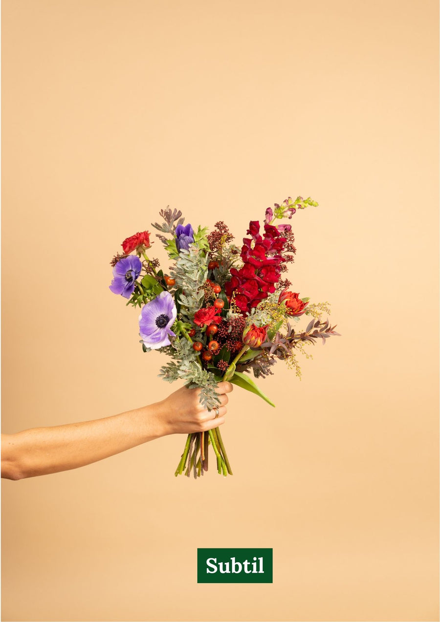 Abonnement Bouquet de fleurs françaises et de saison